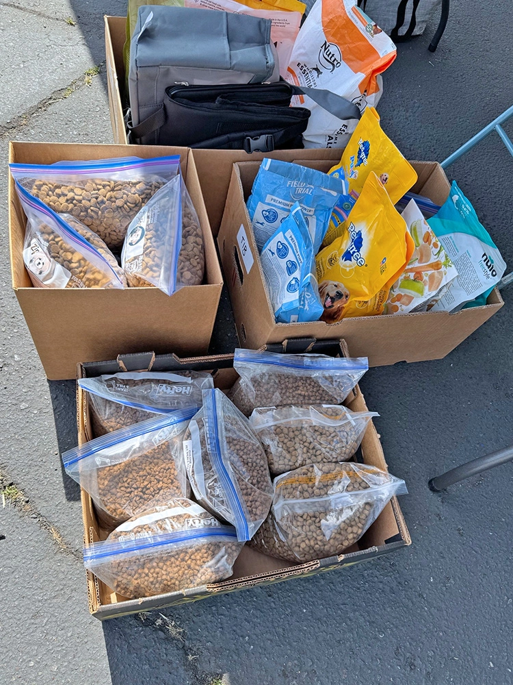 volunteering