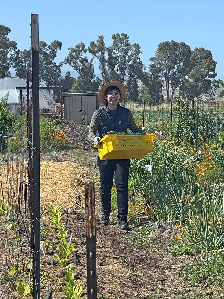 volunteering